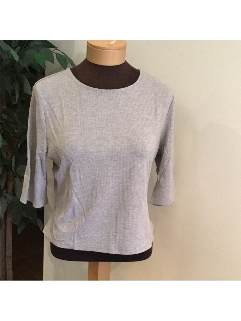 POPSUGAR Gray Ribbed Cropped Crewneck Elbow Sleeve Top XL NWT